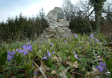 Monument E.Hall